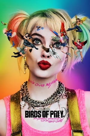 Birds of Prey (2020) (ORG) Dual Audio | Dubbed Hindi Movie HDRip [1.1GB]