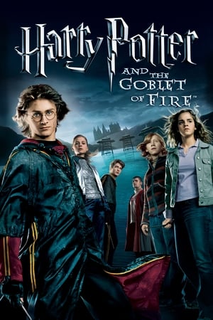 Fire & Ice (2008) Dual Audio | Dubbed Hindi Movie BluRay 300MB