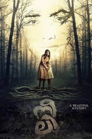 Neeli (2018) ( – Malayalam) Dual Audio | Dubbed Hindi Movie UnCut HDRip 400MB