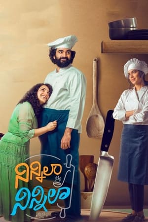 Ninnila Ninnila (2021) Movie | Dubbed Hindi Movie HDRip x264 [1GB]