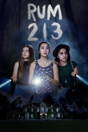 Rum 213 2017 Dual Audio | Dubbed Hindi Movie BluRay [800MB]