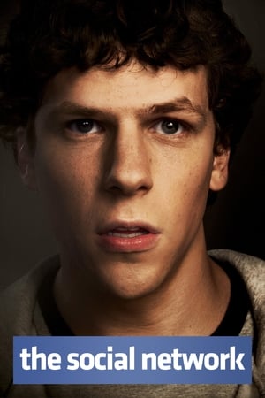 The Social Network 2010 Dual Audio | Dubbed Hindi Movie BluRay [800MB]